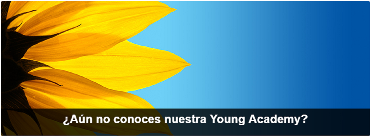 ¿Qué es Young Academy?